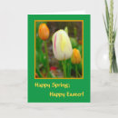 Search for spirite cards Photography
