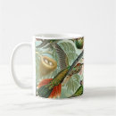 Search for haeckel mugs Hummingbirds