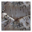 Search for birch bark posters Country