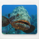 Search for jardine mouse mats Jardines de la reina
