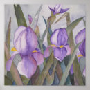 Search for purple iris posters Nature
