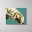 Search for lizards canvas prints Reptile