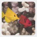 Search for yellow fish stickers Coral