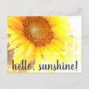 Search for sunshine yellow postcards Photography