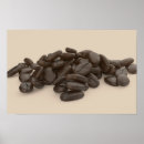 Search for arabica posters Espresso