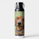 Search for dachshund water bottles Pet