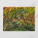 Search for autumn postcards Oriental