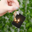 Search for orbital key rings Liftoff