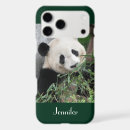 Search for pandas electronics Green