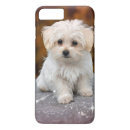 Search for maltese puppy iphone cases Pet