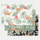 Search for bird of paradise wrapping paper Monstera
