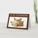Search for veterinarian cards Kitten