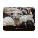 Search for herding magnets Sheep