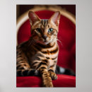 Search for regal posters Cat lover