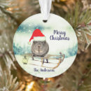 Search for guinea pig christmas tree decorations Snow