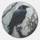 Search for the crow stickers Black