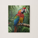 Search for parrot puzzles Colourful