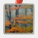 Search for maple christmas tree decorations Pattern