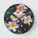 Search for frangipani art Floral