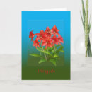 Search for red lily thank you cards Flowers