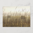 Search for bale postcards Rural