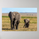 Search for mother baby elephant posters Young animal