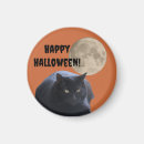 Search for black cat magnets Moon