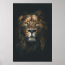 Search for lion photography posters Wild