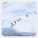 Search for ice cold stickers Animal