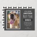 Search for grey dog cards Modern