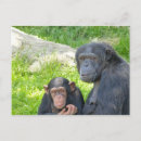 Search for refrigerator horizontal postcards Animal