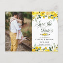 Search for yellow rose save invitations Green leaves