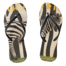 Search for zebra shoes White