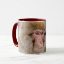 Search for snow monkey mugs Wildlife