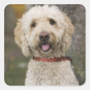 Search for massachusetts usa stickers Close up