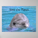 Search for bottlenose dolphin art Ocean