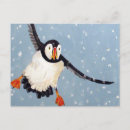 Search for auk postcards Nature