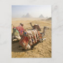 Search for cairo postcards Culture