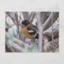 Search for heade postcards Yellow