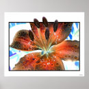 Search for a d d art Flowers
