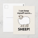 Search for sheep postcards Fluffy