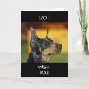 Search for doberman photography Dog