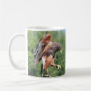 Search for harris hawks mugs Falconry