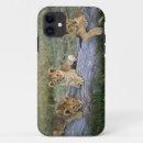 Search for adam jones iphone cases Kenya