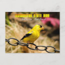Search for american goldfinch postcards Yellow
