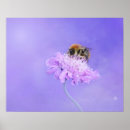 Search for bumble bee posters Nature