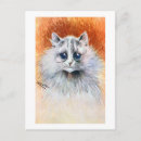 Search for long haired cat postcards Kitten
