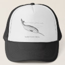 Search for narwhals hats Animal