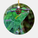 Search for chameleon christmas tree decorations Wildlife