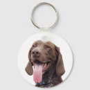 Search for pointer dog key rings Gsp